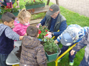 Die Kids der AWO Kita "Strolchenland" haben ihre Geranien in den Garten gesetzt.