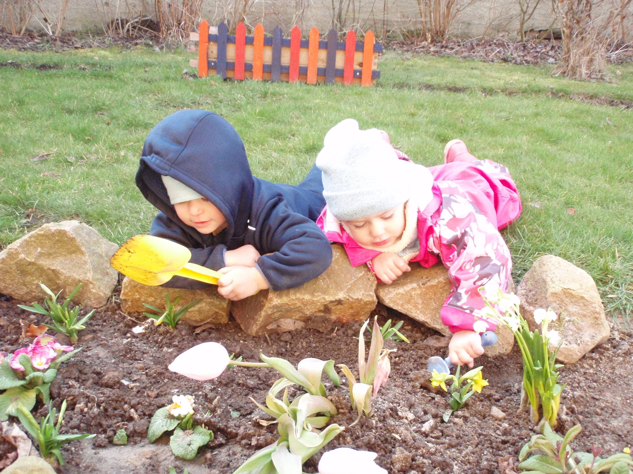 Frühling im "Knirpsenland"